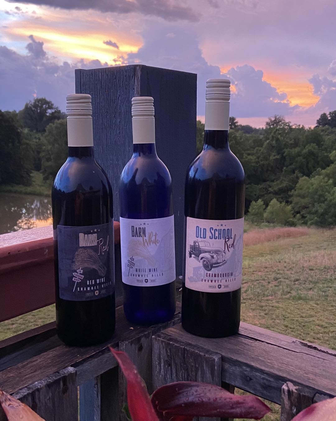 winebottles bottles of peachbarn wine